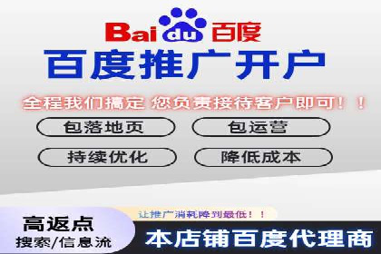 专业SEM托管助力企业快速成长案例分析
